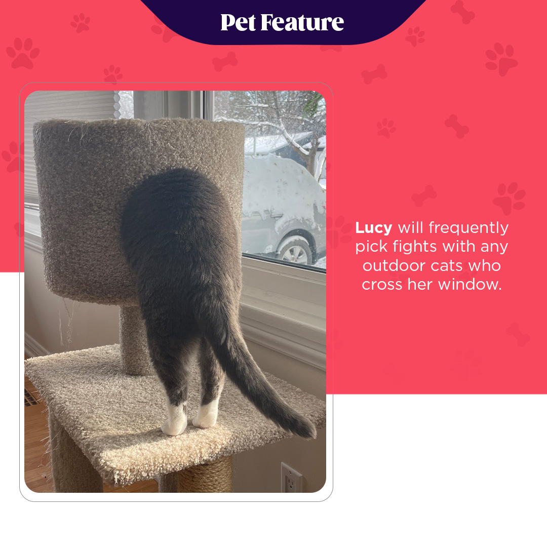 Marshal Yard tweet media