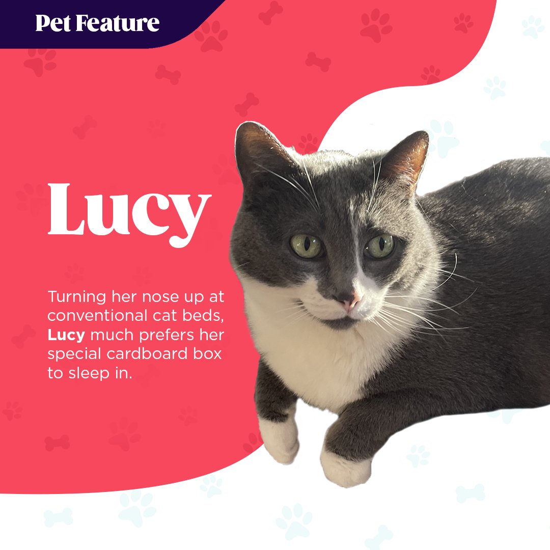 Marshal Yard tweet media