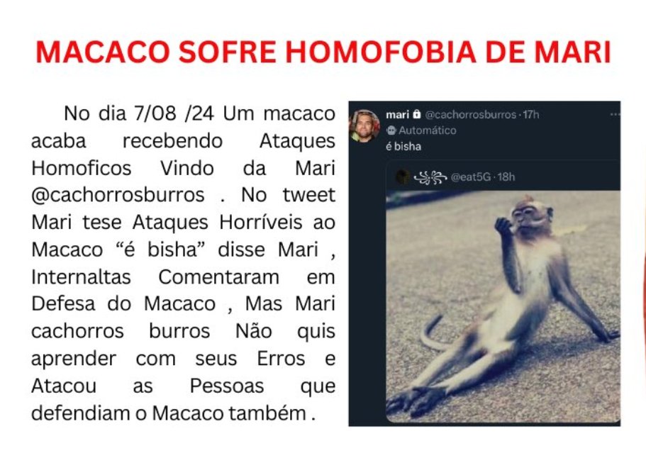 cachorrosburros's tweet photo. https://t.co/p6bJbsQhTA