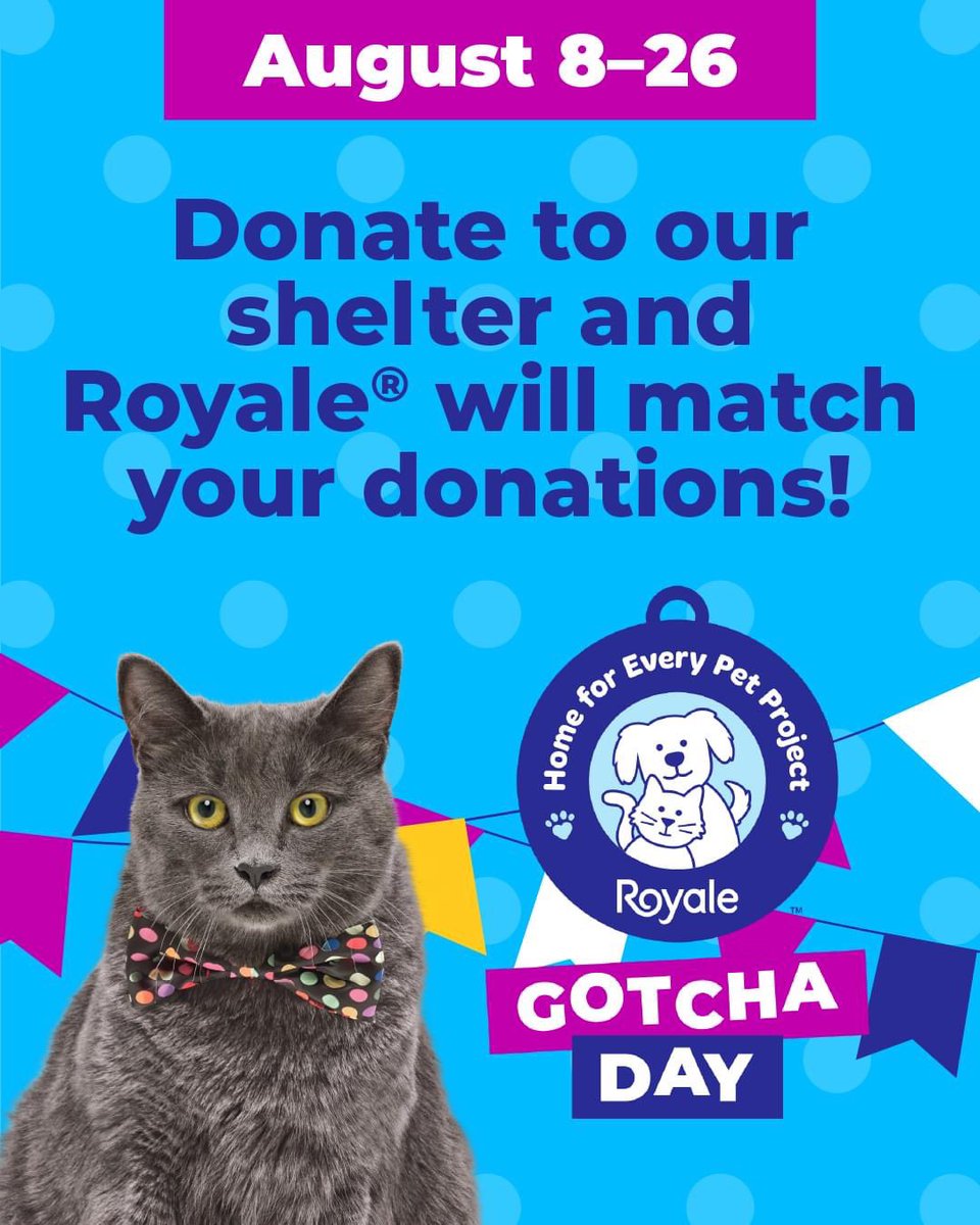 SPCAAR's tweet photo. Royale® is celebrating the fifth anniversary of The Royale Home for Every Pet Project™ by hosting a donation drive for animal shelters across Canada.
 
Royale® is matching donations made to our shelter between August 8–26.* Every dollar raised helps find homes for pets…

1/2 https://t.co/By4iEYfePm