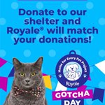 Photo by Saint John SPCA Animal Rescue (@SPCAAR)