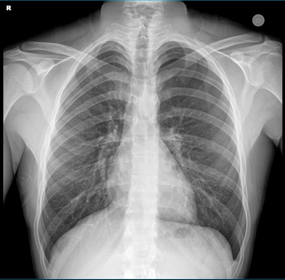 İntern Hekim İletişim Platformu tweet media
