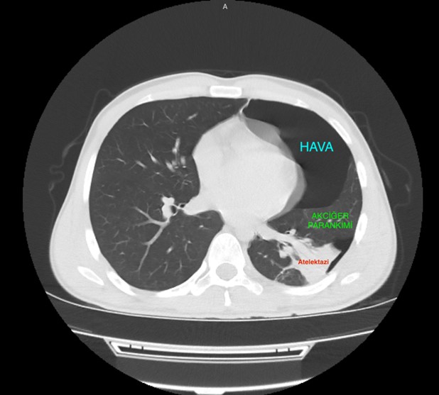 İntern Hekim İletişim Platformu tweet media
