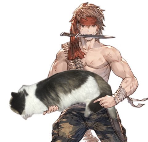 zDean_ze's tweet photo. 猫武器学 https://t.co/UHfL9ZQ9fa