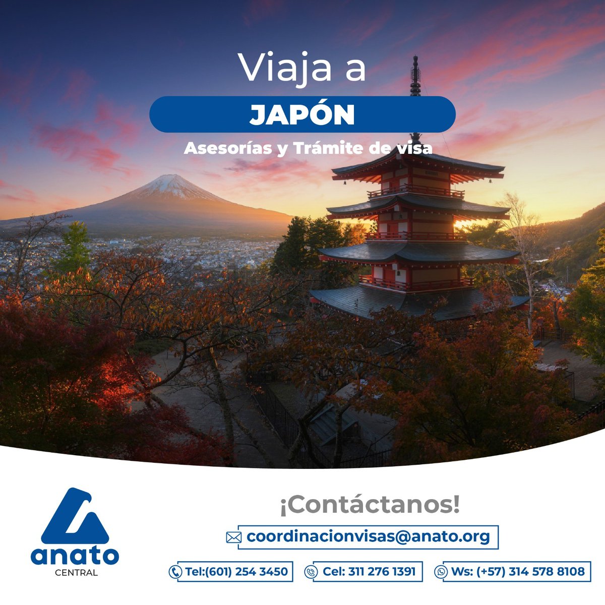 El Capítulo Central presta el servicio de asesoría especializada en trámites de visas. 

Contáctanos:

correo: coordinacionvisas@anato.org
Tel: 601 254 3450
Cel: 311 276 1391
Ws: 314 578 8108

#visas #visajapon #Japon