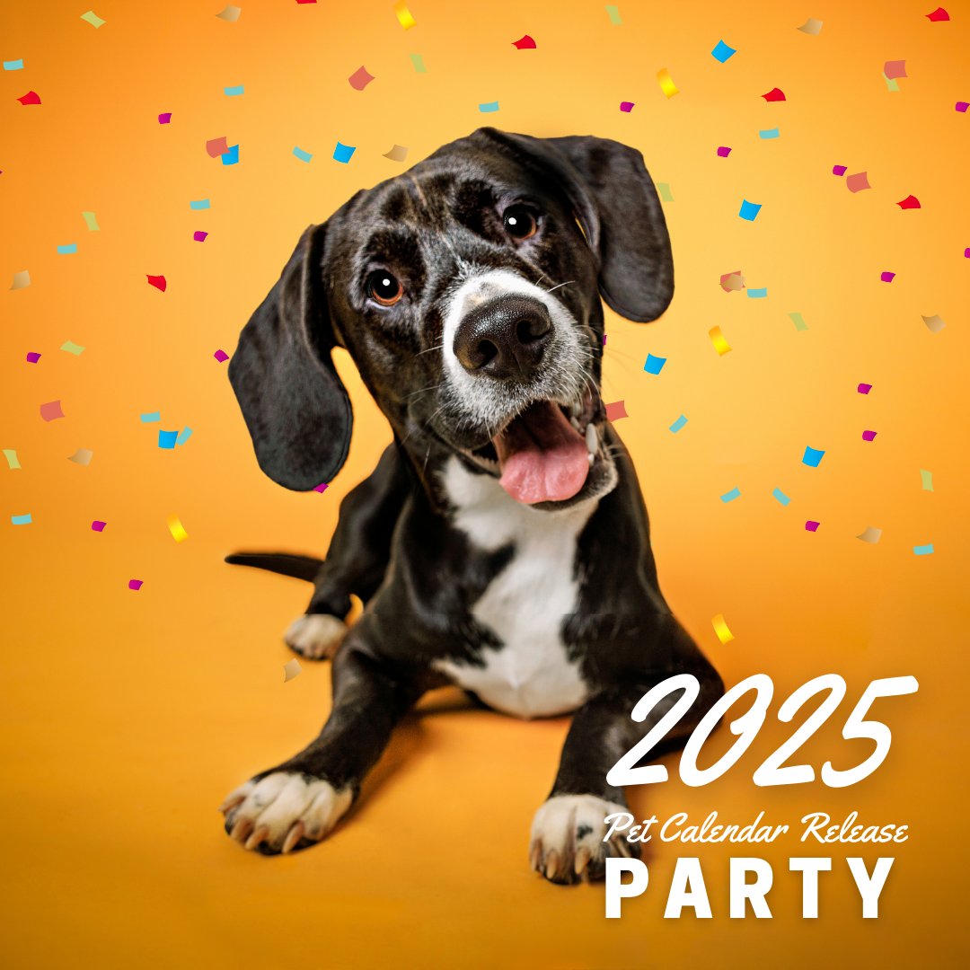 Forsyth Humane Society tweet media