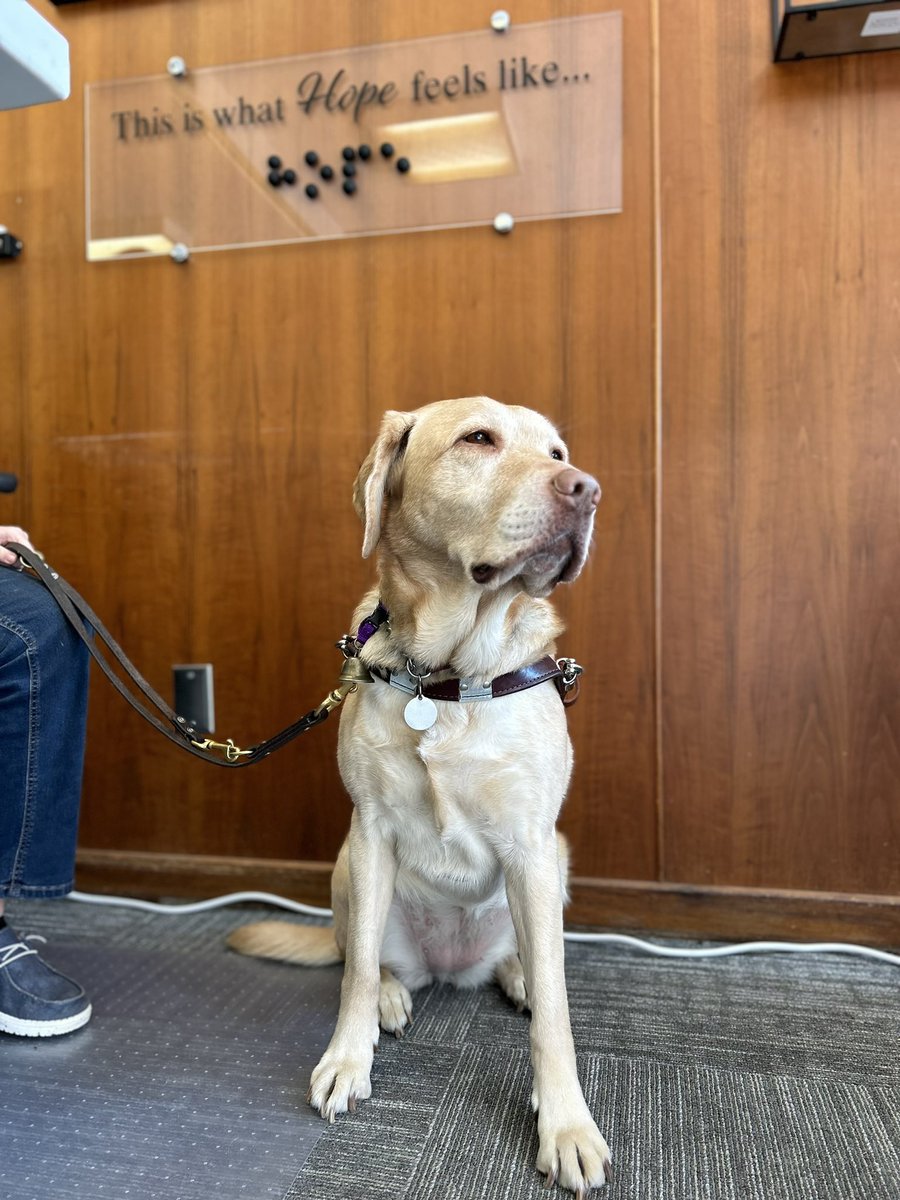 World Services for the Blind tweet media