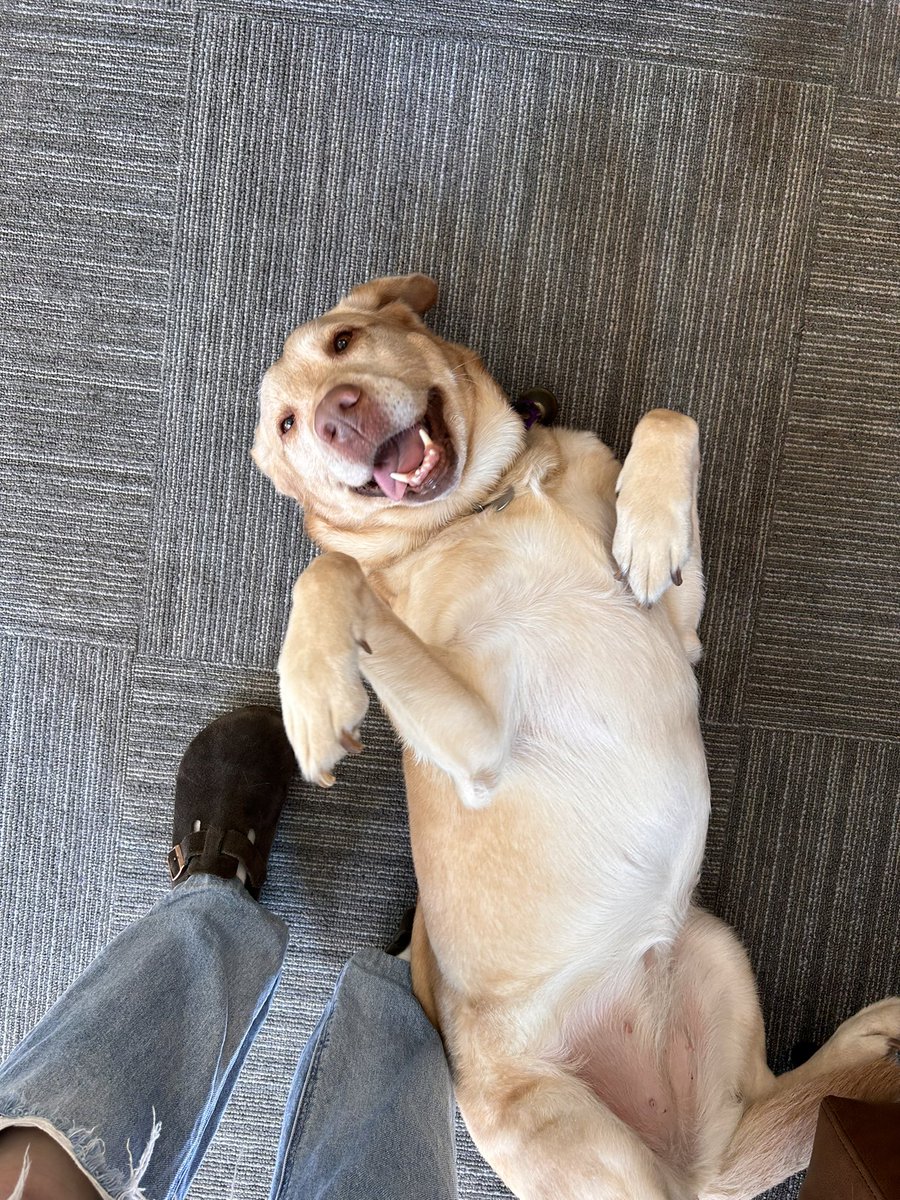 World Services for the Blind tweet media