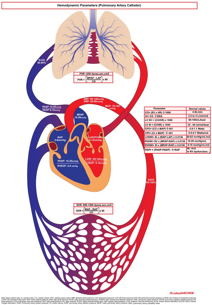 NephroP's tweet photo. Hemodynamic indices
#FOAMed #FOAMcc #Criticalcare
Courtesy 🔗 https://t.co/JL6Y3KKUgm https://t.co/ClpFEz1q4h