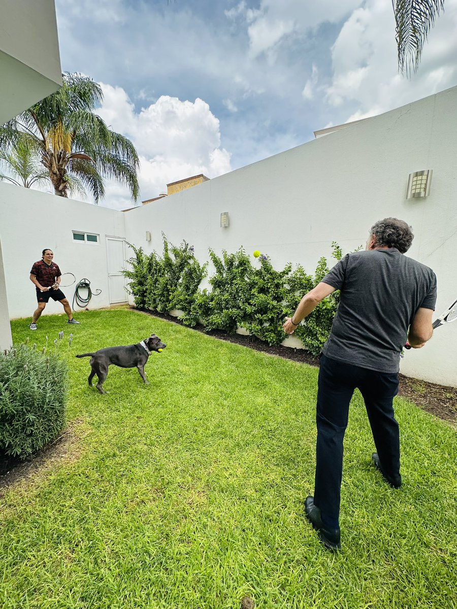 ProDeportivos's tweet photo. Mini Tennis anyone ?? 

#MásCanchas #MásTenis 🎾🏸 https://t.co/rrOUQ8wjae