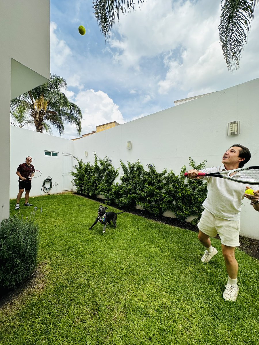 ProDeportivos's tweet photo. Mini Tennis anyone ?? 

#MásCanchas #MásTenis 🎾🏸 https://t.co/rrOUQ8wjae