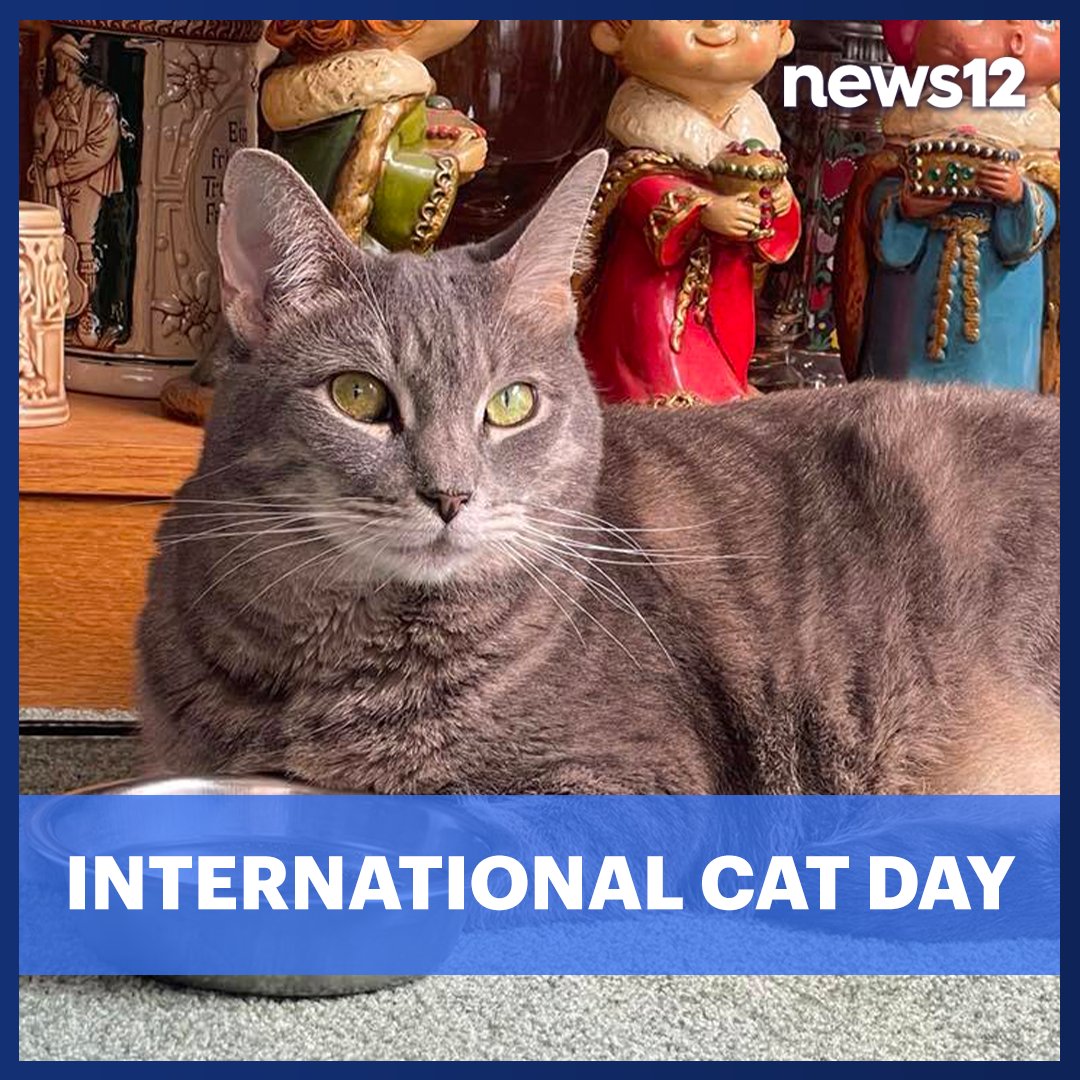 News12LI tweet media