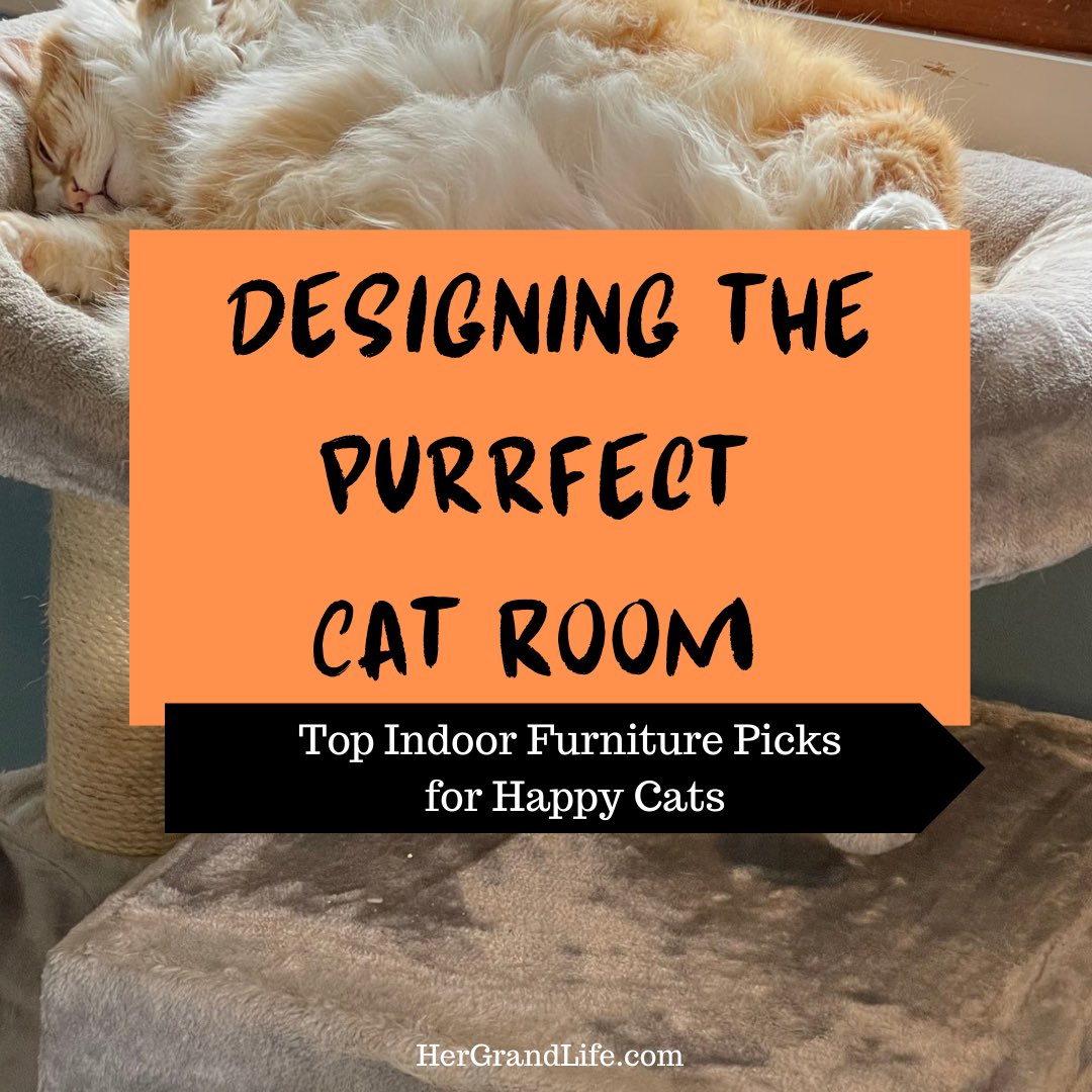 Need ideas for a purrfectly cozy cat haven? Every cat owner dreams of creating a safe, comfortable, and stimulating environment for their feline friends. A well-designed cat room can provide just that—a haven where your cat can play, rest, and explore.❤️

hergrandlife.com/37090