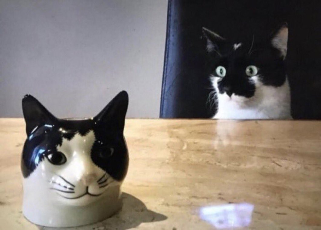 Andy Bowers tweet media