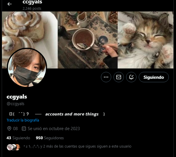 day ¡! 🐰 tweet media