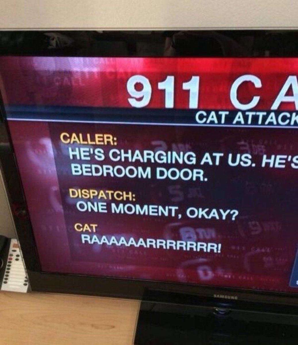 Andy Bowers tweet media