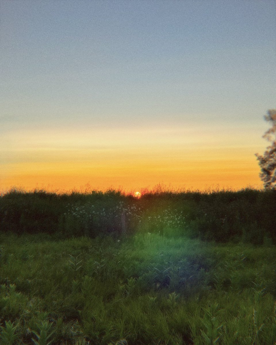 4U3G0's tweet photo. 🔦 https://t.co/Epba0zjGci