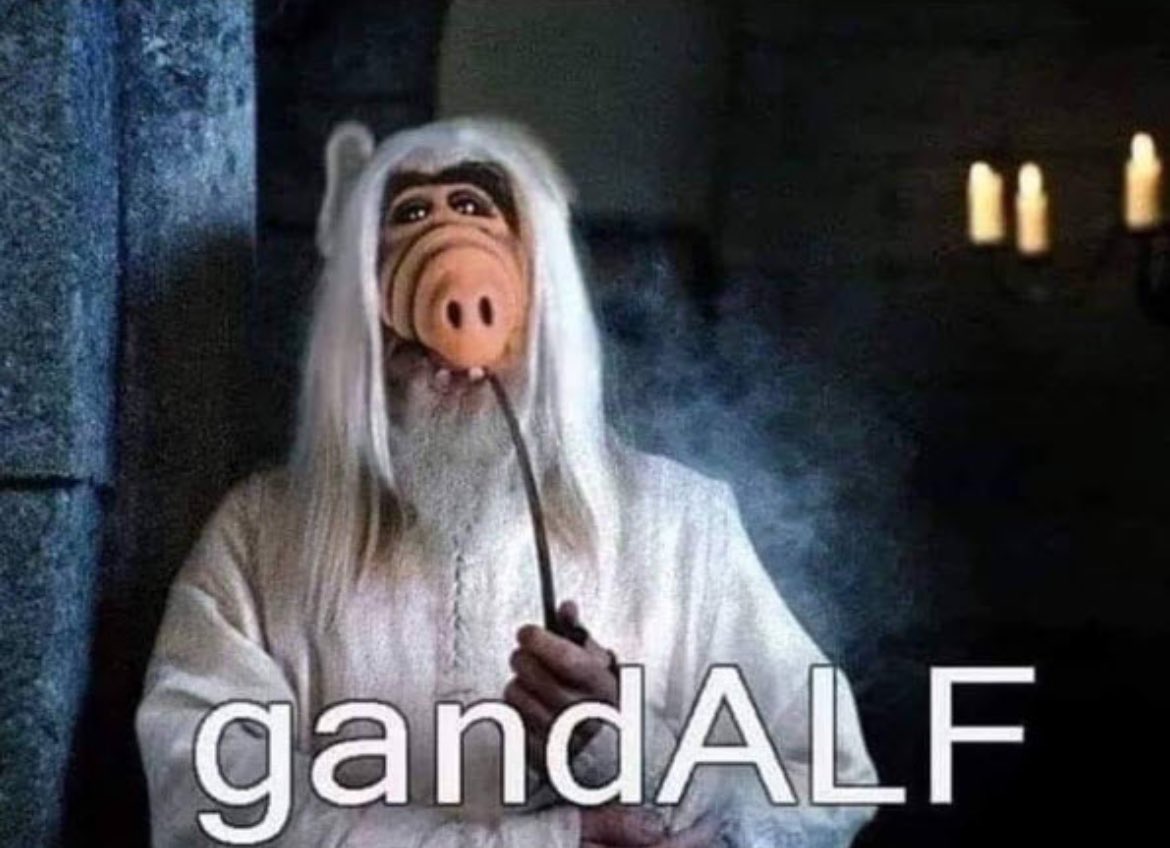PappaBearGaming's tweet photo. Ha https://t.co/fbDnkVor9W