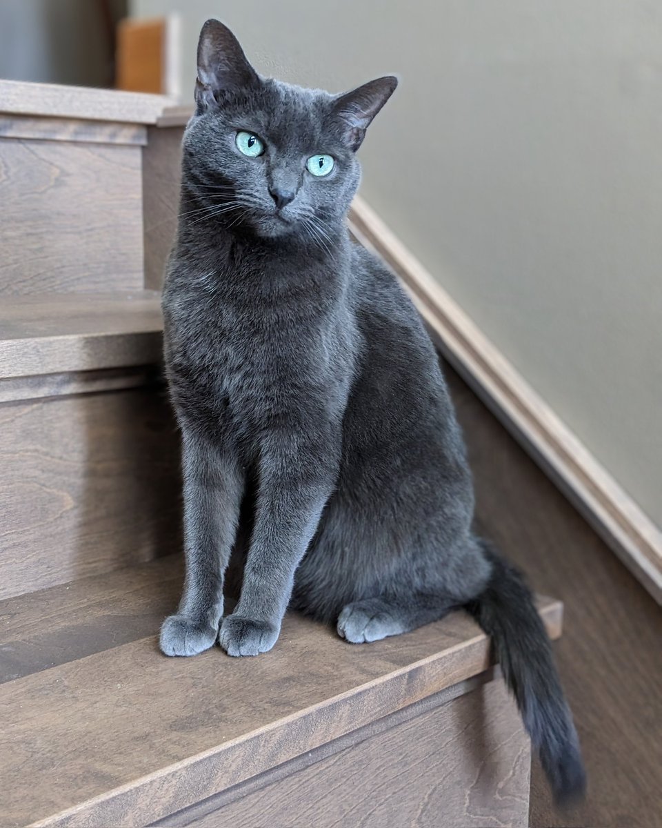 Sarah Rums tweet media