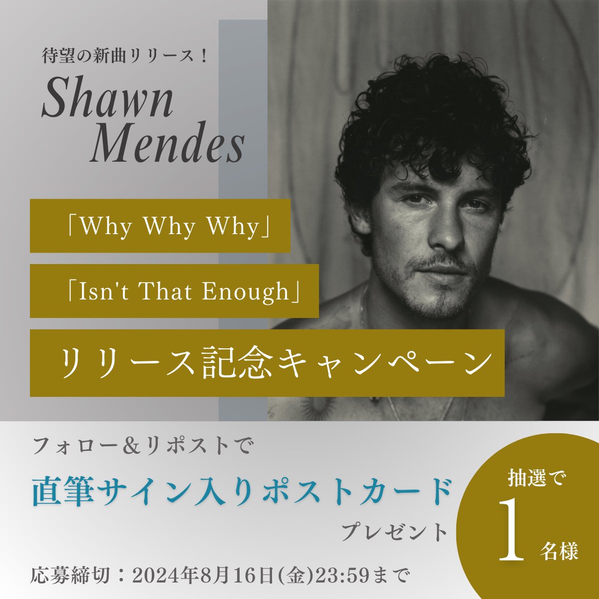 _shawnjp's tweet photo. /／
#ショーン・メンデス
新曲リリース記念
リポストキャンペーン🎁
\＼

抽選で1名様に
直筆サイン入りポストカードをプレゼント！

【応募方法】
① @_shawnjp をフォロー
②この投稿をリポスト

【応募締切】
2024/8/16(金)23:59まで

【新曲の試聴はこちら🎧】
https://t.co/Kkf3oc7ooi https://t.co/WqxUJjZ7as