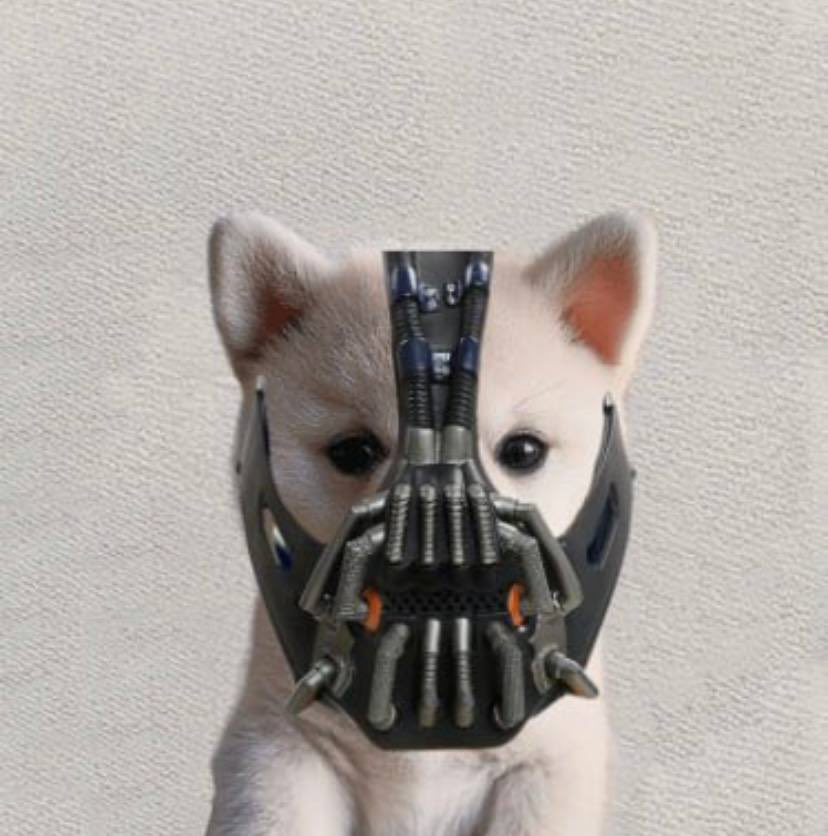 PDThr3e's tweet photo. @IcedKnife $bane the one. we in the trenches. https://t.co/4Mv3Frgre3