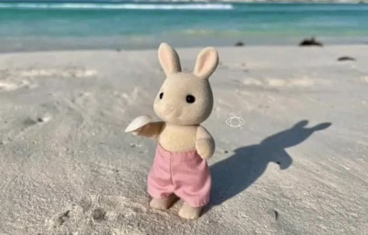 ElPanditaRojo_'s tweet photo. La vida me pide mucho y yo solo soy un adulto chiquito que quiere estar en la playa buscando conchitas https://t.co/9WBfWabCfc