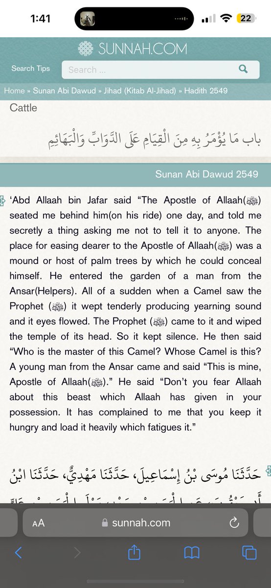 VloneAhmad's tweet photo. https://t.co/X6WJdsTZx8