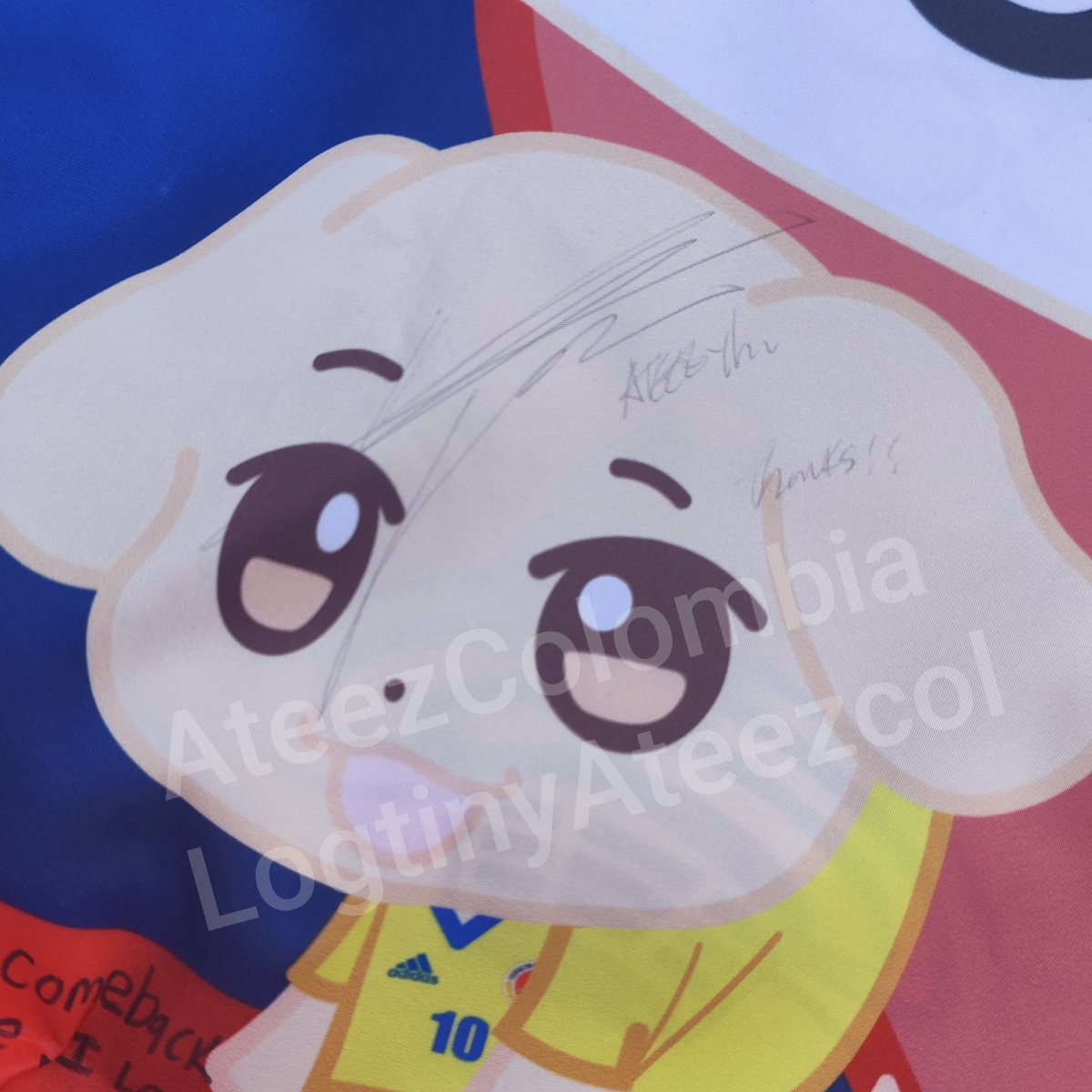 BeewMars's tweet photo. De verdad que si vivimos el mejor sueño, Yunho y Yeosang fueron muy amorosos y su staff fue muy amable, booba nos habló en español y nos dijo que amaban Colombia, amaron el diseño de la bandera y Yeosang preguntó que si esos mensajes eran de Atiny y los leyó 😭😭 los amo tanto https://t.co/kjYgqv3JGz