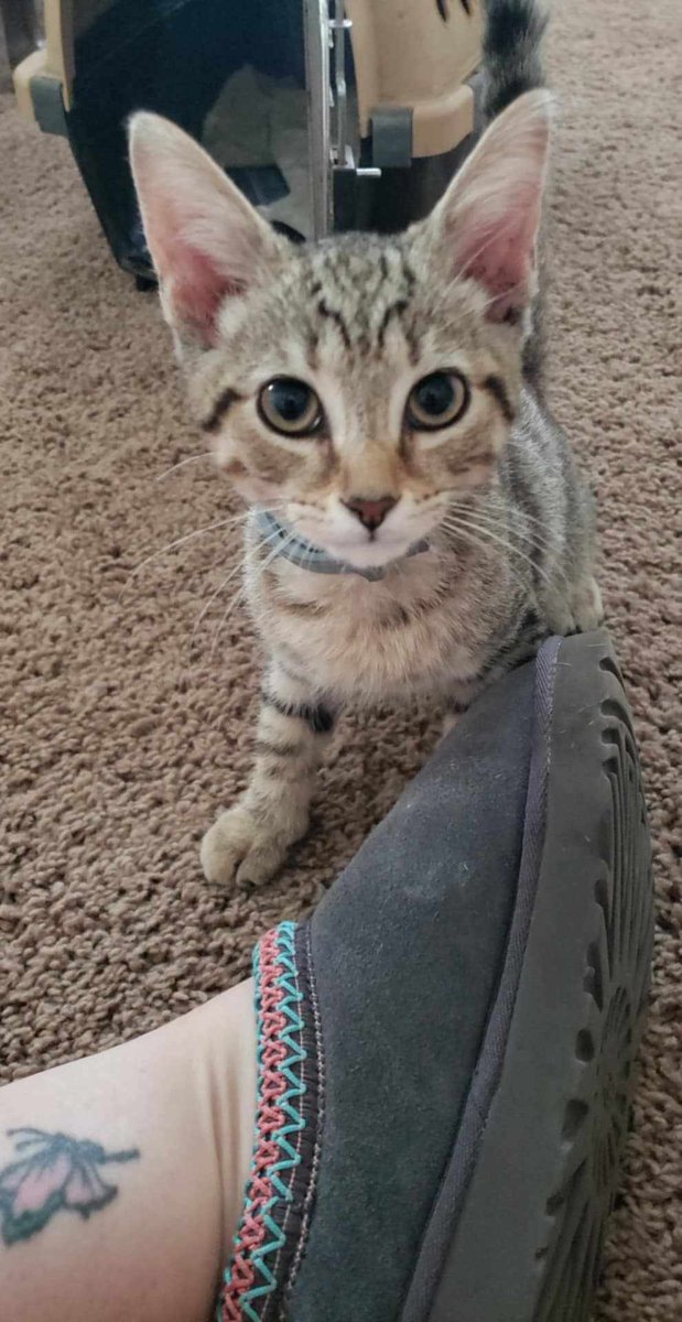 🪷🌻Denise E🌻🪷 tweet media