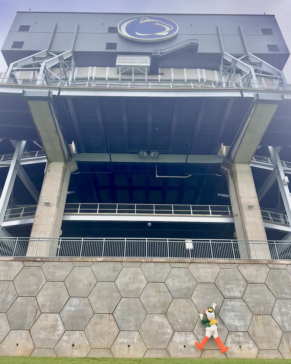 The Duck tweet media