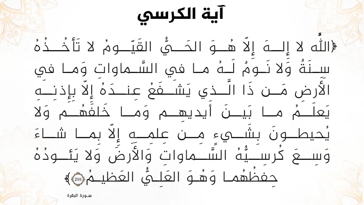 Tamer || DC tweet media