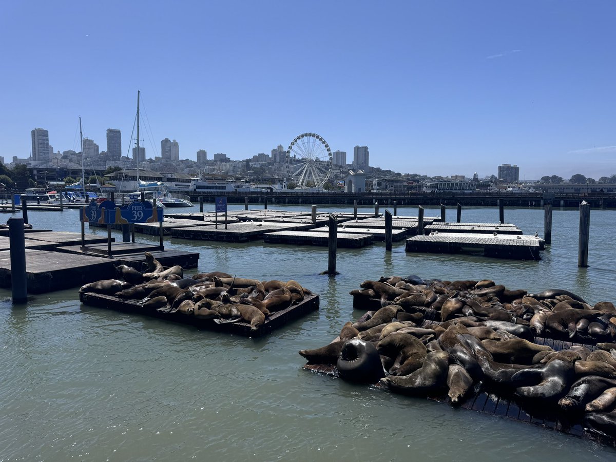 Kathrin Lang tweet media