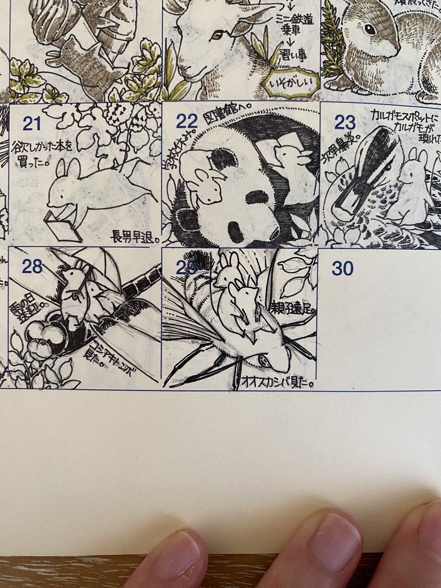 先月実家に帰った時に父から「庭にかわいいガがいるよ」と言われて撮ったオオスカシバ写真が活躍しました(父親にうちの娘はガを見せると喜ぶと思われている(合ってる))。 