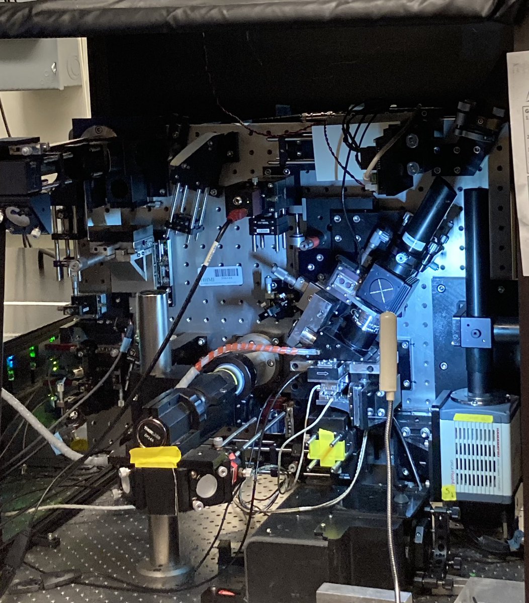 Samuel Tadeu Rocha (@samueltadeuroc1) on Twitter photo A big thank you to <a href="/AICjanelia/">AIC at Janelia</a> for the opportunity to participate and represent Brazil 🇧🇷 and South America at #IALSjanelia. It was an incredible experience filled with learning.
🧫🔬💻 A big thank you to <a href="/AICjanelia/">AIC at Janelia</a> for the opportunity to participate and represent Brazil 🇧🇷 and South America at #IALSjanelia. It was an incredible experience filled with learning.
🧫🔬💻