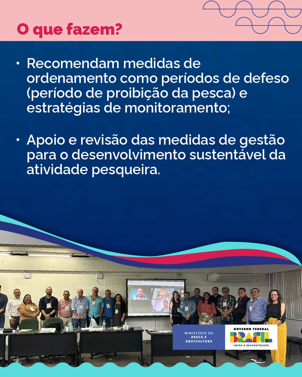 MPA_Br's tweet image. 💬 Um exemplo disso é a gestão da pesca do #pargo. Por meio do diálogo entre diversos setores, são discutidas recomendações de medidas e regulamentações que visam garantir uma pesca sustentável da espécie e manter o equilíbrio marinho.