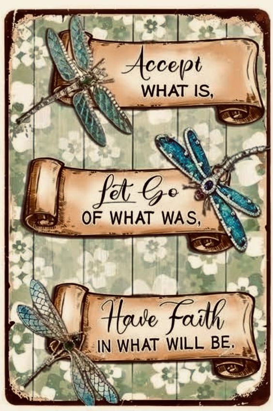 LifeWithJohn's tweet photo. Accept what is,
Let go of what was,
Have faith in what will be. ~ Awesome advice, right? https://t.co/pnF6AfGXsK