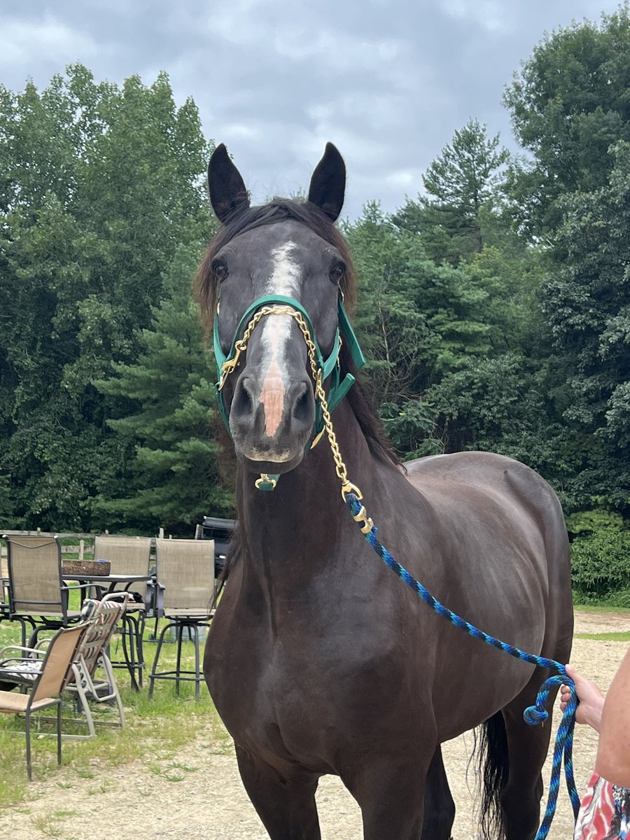 kayteegee17's tweet photo. Today, I dropped my ‘son’ off at his new job….he’s going to make some little girl extremely happy *cue happy tears* https://t.co/bgGezgSeXI