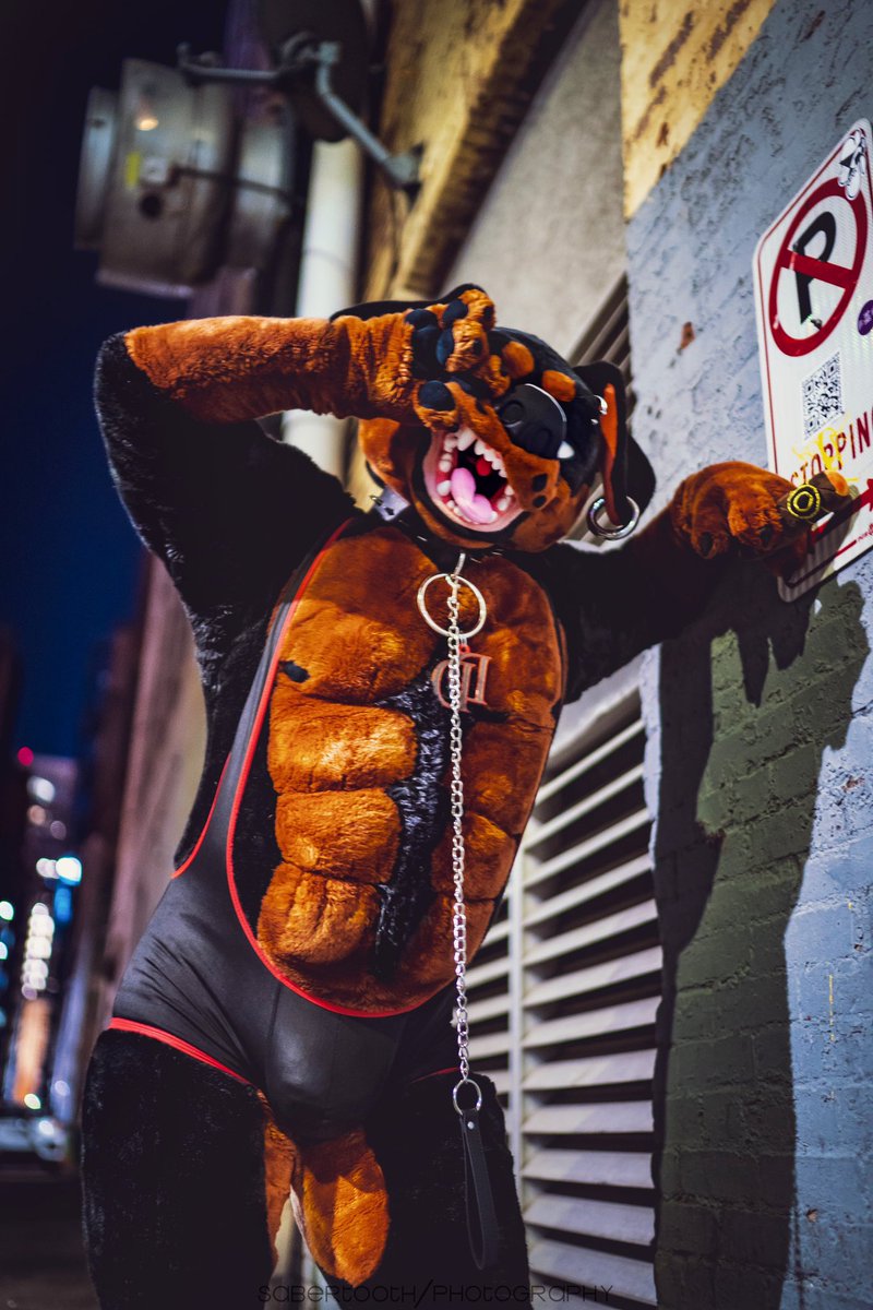 I learned today that 8/8 is a vore day 
#ac2024 #voreday