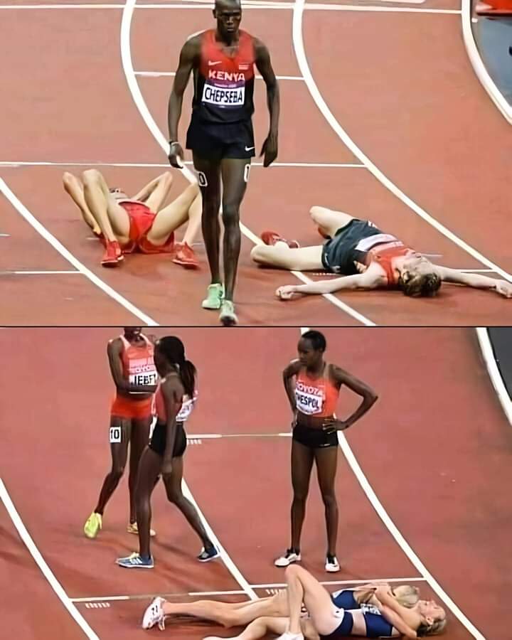ديل استعمرونا كيف ؟؟؟