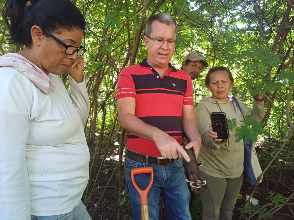 Inces_Guarico2's tweet photo. #8Ag El Inces continúa apoyando la formación productiva del personal de la Misión Árbol del municipio Juan Germán Roscio Nieves desarrollando la unidad curricular "Producción de Bioinsumos Agroecológicos". https://t.co/cnYL5p24PU