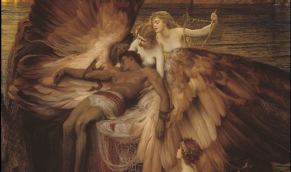 solisolsoli's tweet photo. Fallen Angels https://t.co/r6LalpMnlj