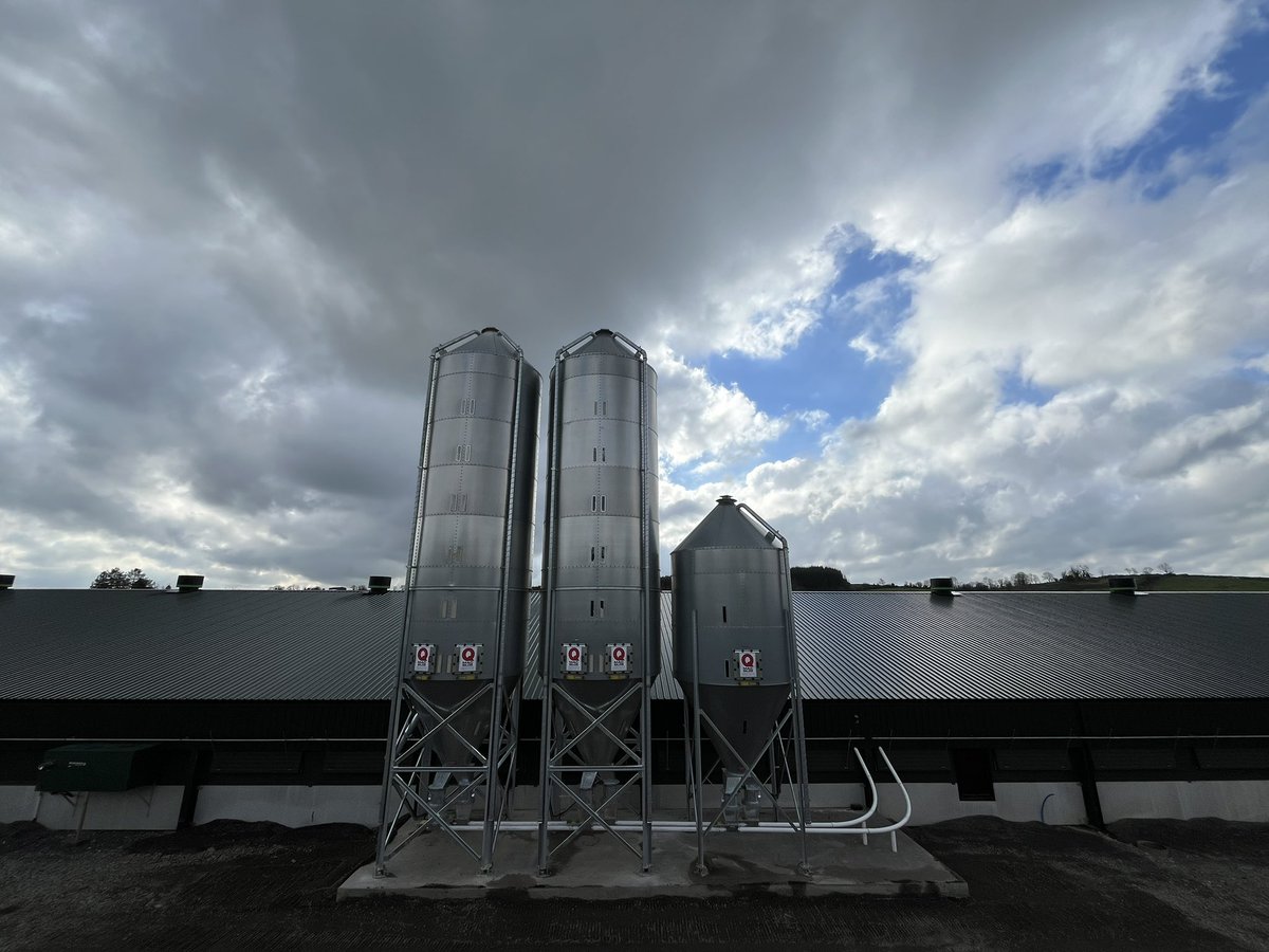 New chicken we built earlier this year. Try and get third shed built asap. Extremely happy will all our suppliers, planners, engineers and the bank to make it happen. Thanks.