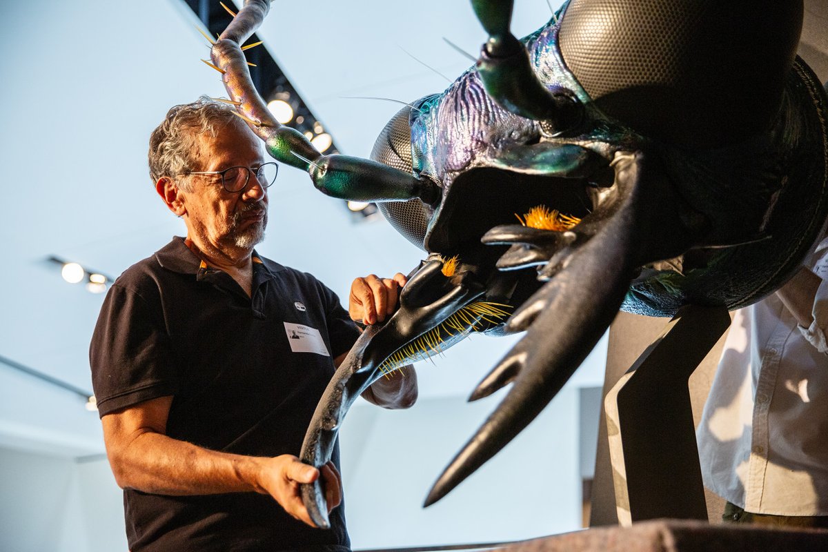 NHMU's tweet photo. Hollywood makeup effects and specialty costume expert Fernando S. Favila created a 300-times-life-size model of a tiger beetle head, now on display here at NHMU!
Head up to NHMU this weekend to see it during #BUGfest and learn more about Fernando's work: https://t.co/DfYWT1D7y4 https://t.co/LrtzdhyKsq