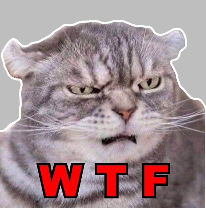 *my cat watching me put a blanket down to pee all over my bed when he�s not allowed to* https://t.co