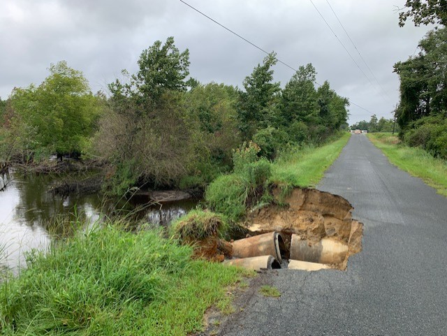 Steve Roth tweet media