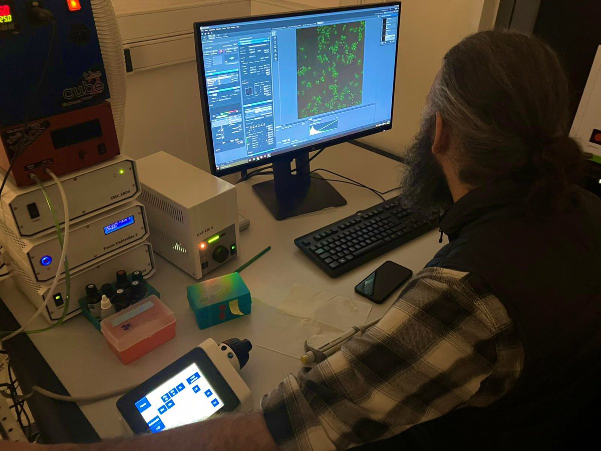 advanced_unit's tweet photo. Another Fellowship at the @advanced_unit
This time @GZerbetto from @UBAonline @k_alle_va visit our center to study the role of Aquaporins in H2O2 diffusion across yeast membranes.
🔬🌈🧫🚀
#HSI #Phasor #Solvatochromicprobes
thanks @cziscience @red_cebem for their support! https://t.co/c3AUc5oXfI