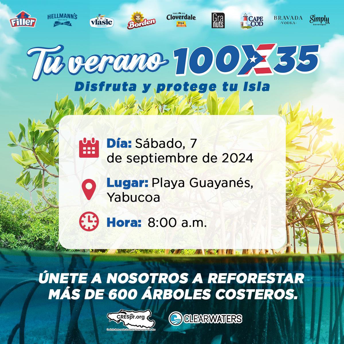 clearwaters_pr's tweet photo. SIEMBRA 600 PLANTAS! 🌱🌊

REGÍSTRATE! 🌊
Regístrate en el enlace del bio o a través de https://t.co/tkNYTVcgkj https://t.co/a0iVf8LPkw