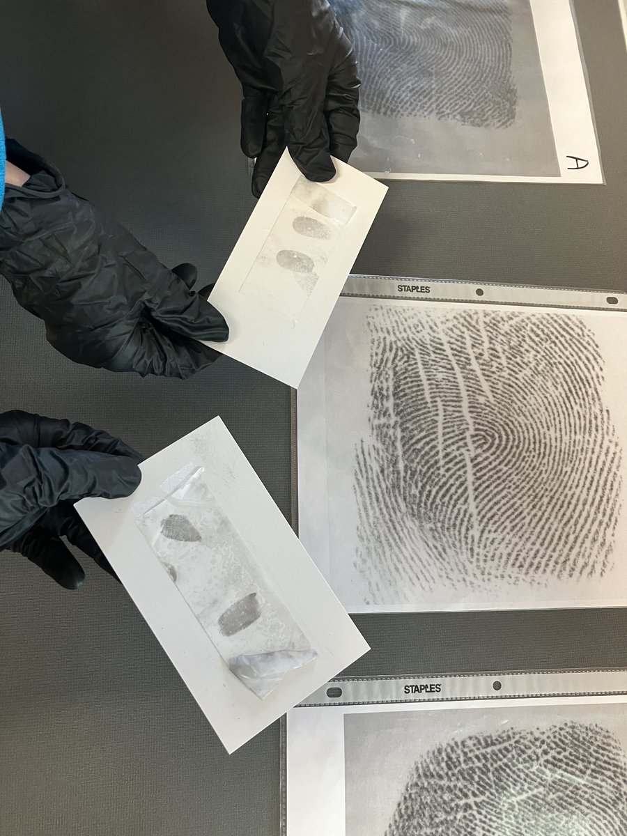 CarrolltonTXPD's tweet image. Unleashing little detectives at the Josey Ranch Lake Library! 🕵️‍♂️✨ Our Crime Scene Investigators had so much fun showing these students how we solve mysteries. Check out your local libraries for more events like this! 

#CarrolltonTX #CarrolltonTXPD #CSI