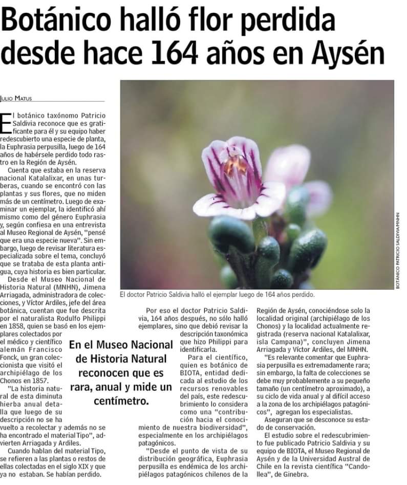 ceci_achao's tweet photo. Linda noticia 💝🪻💖 https://t.co/TuDZ9i9yQk
