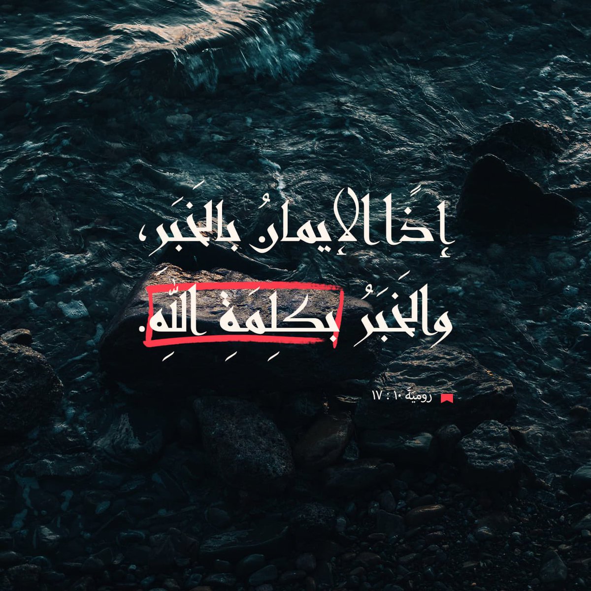 farho's tweet image. 